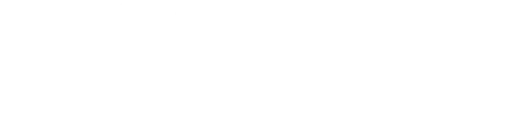 Smarter Dealer App Footer Logo